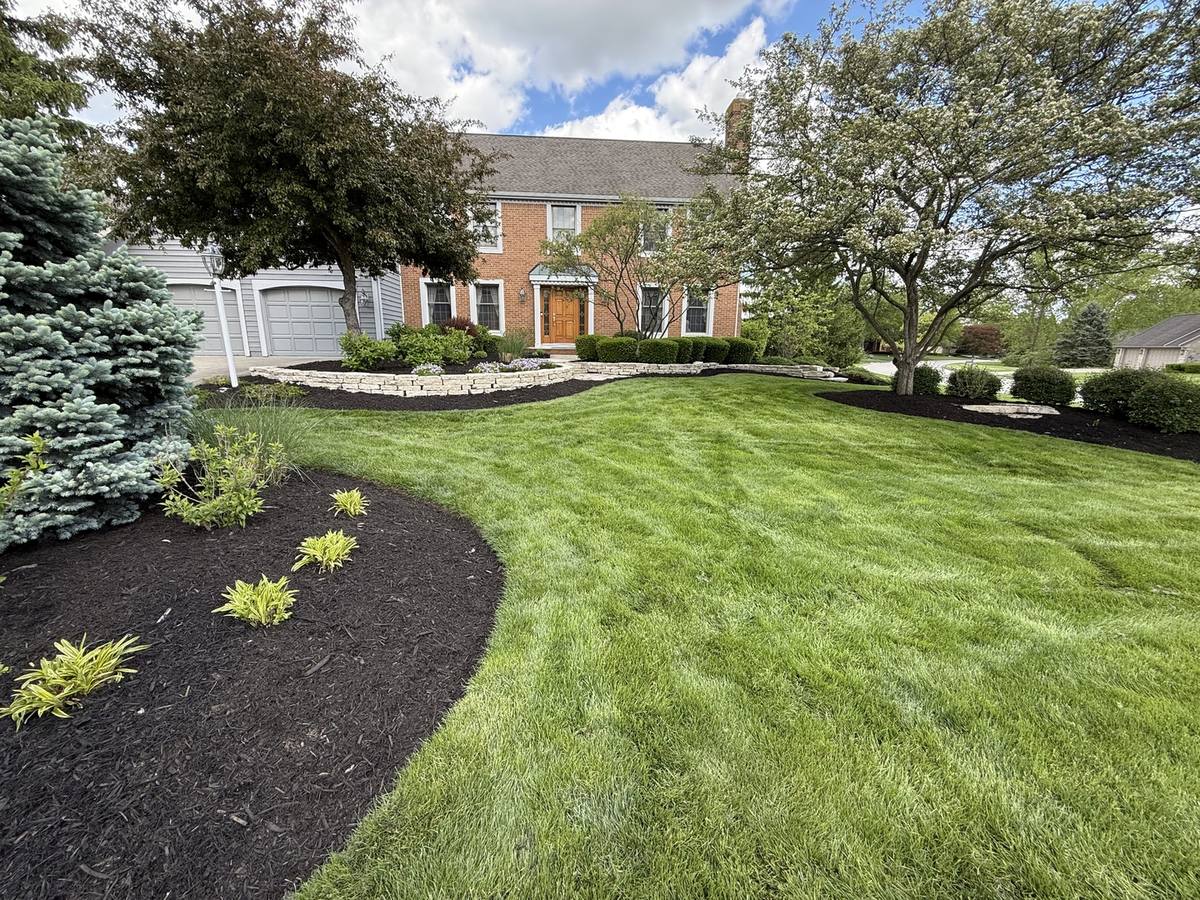 Freshly mowed striped lawn with crisp mulch bed edges at a Columbus-area home maintained by Hole in 1 Lawn Care and Landscaping